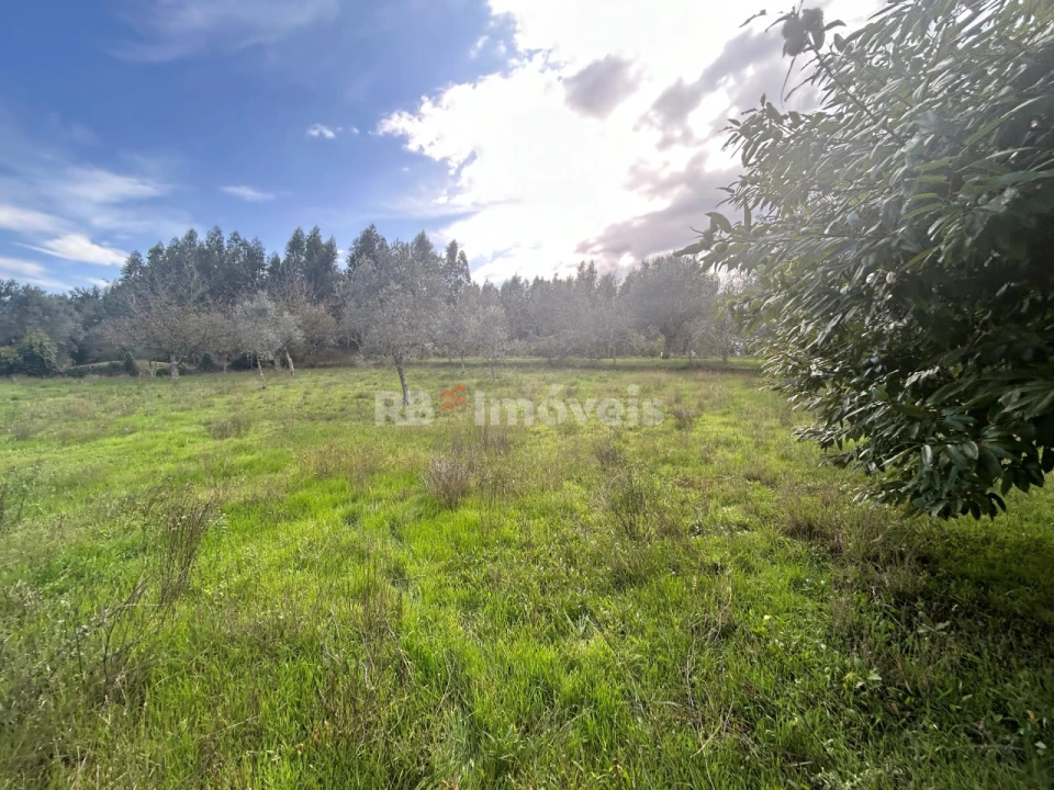 Terreno Agricola ou Rústico para Venda em Nossa Senhora do Pranto Foto 12