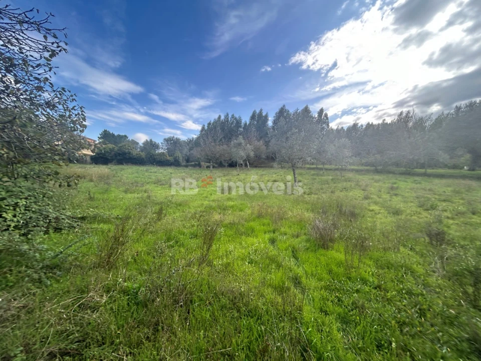 Terreno Agricola ou Rústico para Venda em Nossa Senhora do Pranto Foto 13