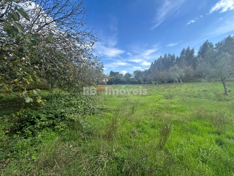 Terreno Agricola ou Rústico para Venda em Nossa Senhora do Pranto Foto 7