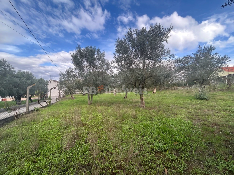 Terreno Agricola ou Rústico para Venda em Nossa Senhora do Pranto Foto 10