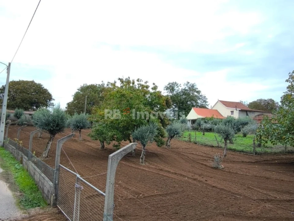 Terreno Agricola ou Rústico para Venda em Nossa Senhora do Pranto Foto 18