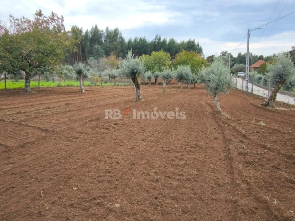 Terreno Agricola ou Rústico para Venda em Nossa Senhora do Pranto Foto 19