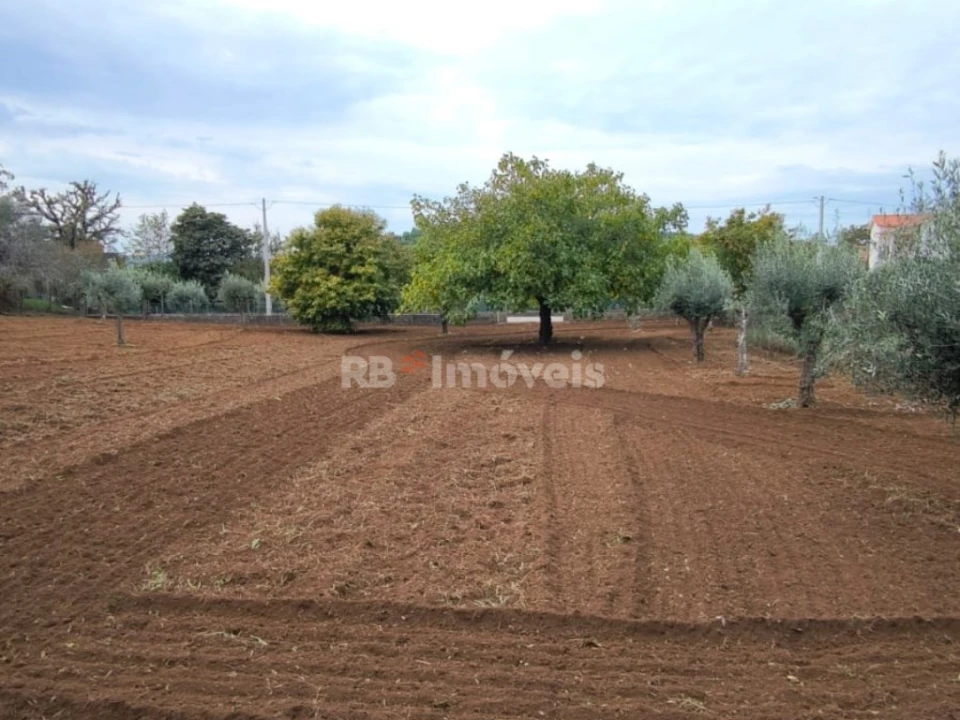 Terreno Agricola ou Rústico para Venda em Nossa Senhora do Pranto Foto 21