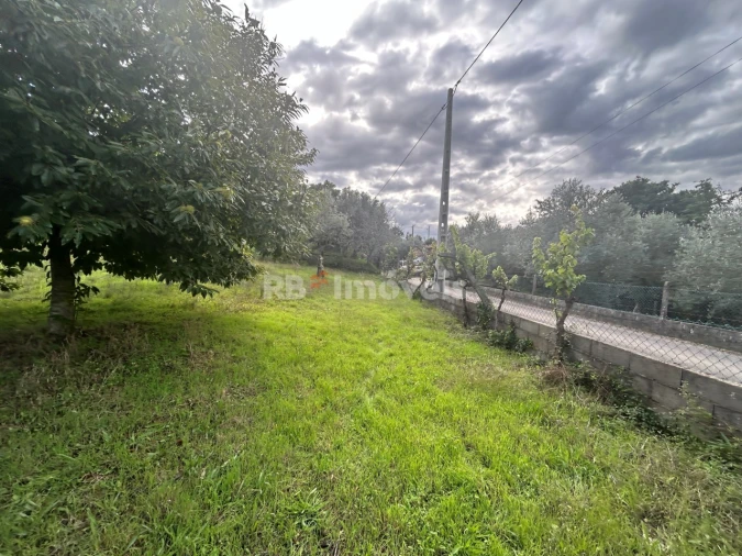 Terreno Agricola ou Rústico para Venda em Nossa Senhora do Pranto Foto 3