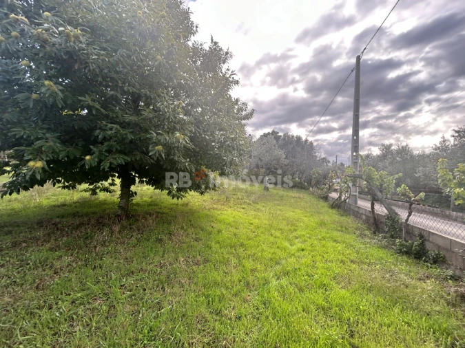Terreno Agricola ou Rústico para Venda em Nossa Senhora do Pranto Foto 6