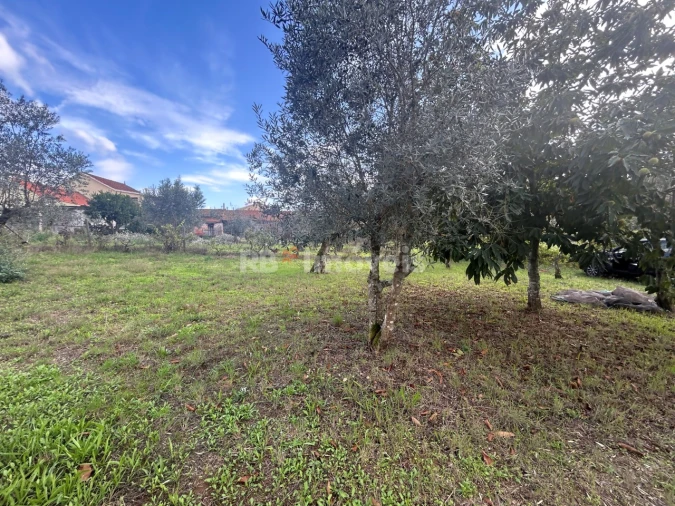 Terreno Agricola ou Rústico para Venda em Nossa Senhora do Pranto Foto 16