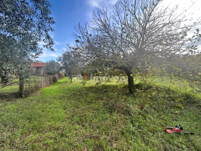 Terreno Agricola ou Rústico para Venda em Nossa Senhora do Pranto Foto 17