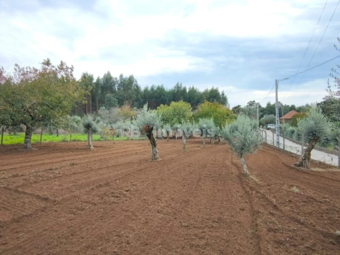 Terreno Agricola ou Rústico para Venda em Nossa Senhora do Pranto Foto 2