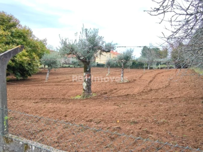 Terreno Agricola ou Rústico para Venda em Nossa Senhora do Pranto Foto 1