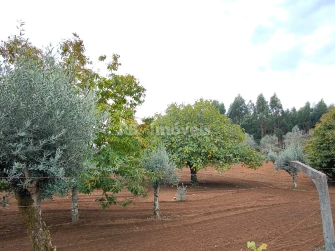 Terreno Agricola ou Rústico para Venda em Nossa Senhora do Pranto Foto 20