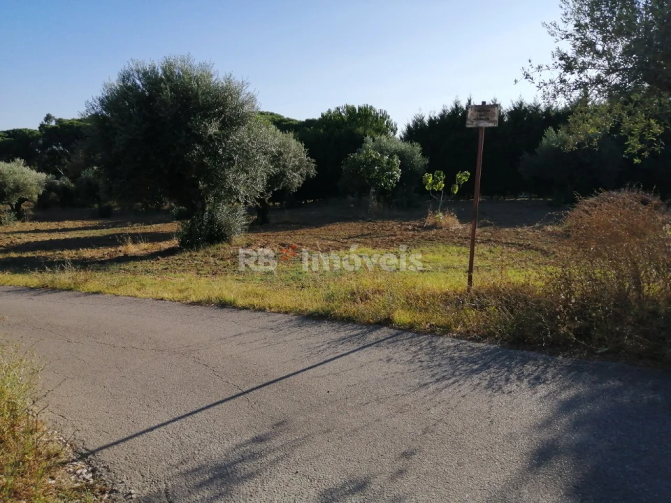 Terreno Agricola ou Rústico para Venda em Torres Novas (Santa Maria, Salvador e Santiago) Foto 12
