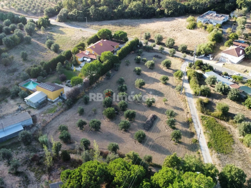 Terreno Agricola ou Rústico para Venda em Torres Novas (Santa Maria, Salvador e Santiago) Foto 4