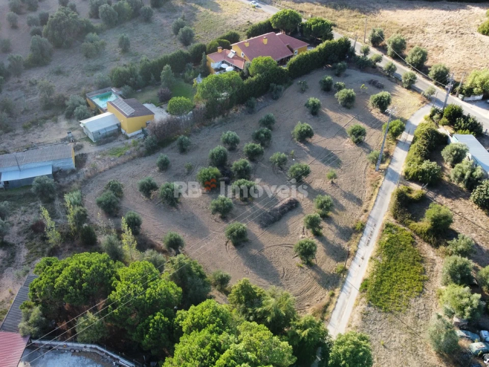 Terreno Agricola ou Rústico para Venda em Torres Novas (Santa Maria, Salvador e Santiago) Foto 1