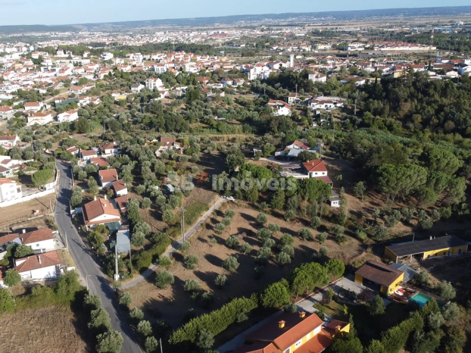Terreno Agricola ou Rústico para Venda em Torres Novas (Santa Maria, Salvador e Santiago) Foto 14