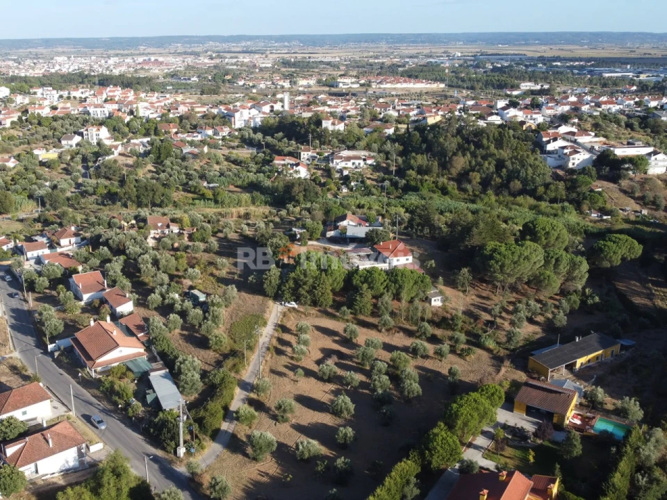 Terreno Agricola ou Rústico para Venda em Torres Novas (Santa Maria, Salvador e Santiago) Foto 15