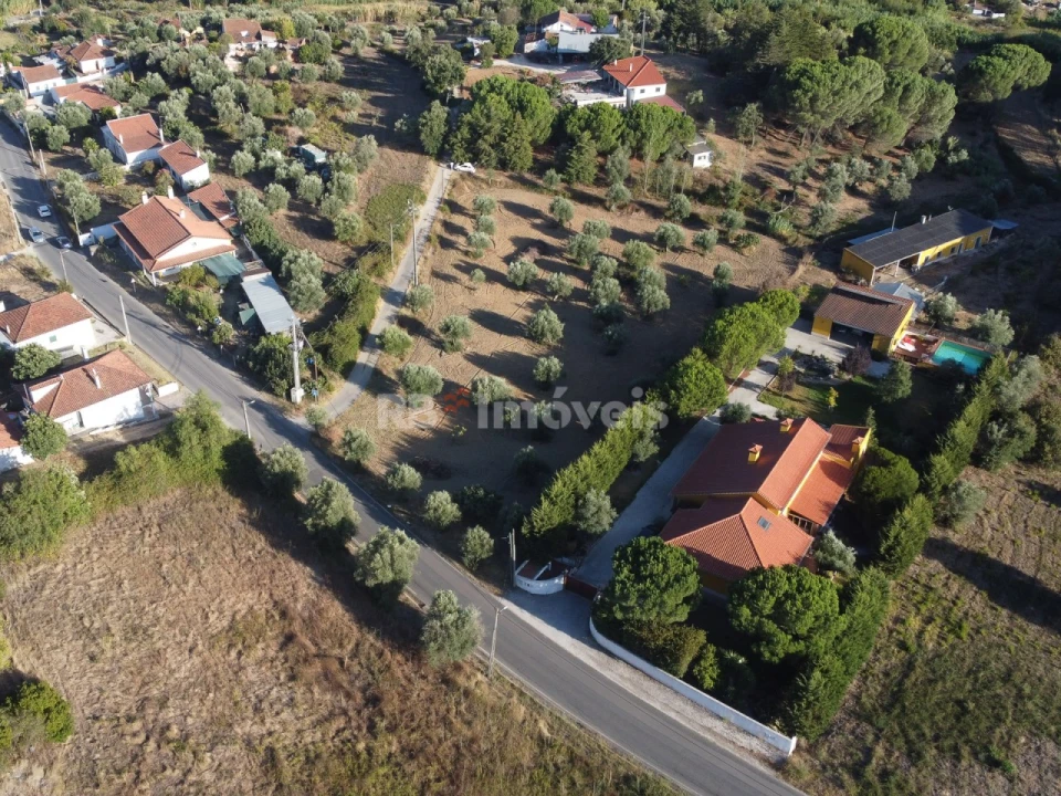Terreno Agricola ou Rústico para Venda em Torres Novas (Santa Maria, Salvador e Santiago) Foto 16