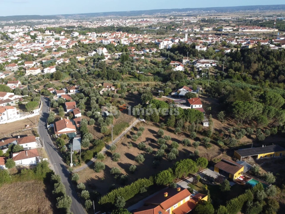 Terreno Agricola ou Rústico para Venda em Torres Novas (Santa Maria, Salvador e Santiago) Foto 17