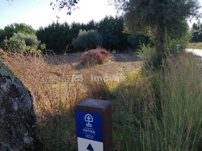 Terreno Agricola ou Rústico para Venda em Torres Novas (Santa Maria, Salvador e Santiago) Foto 13