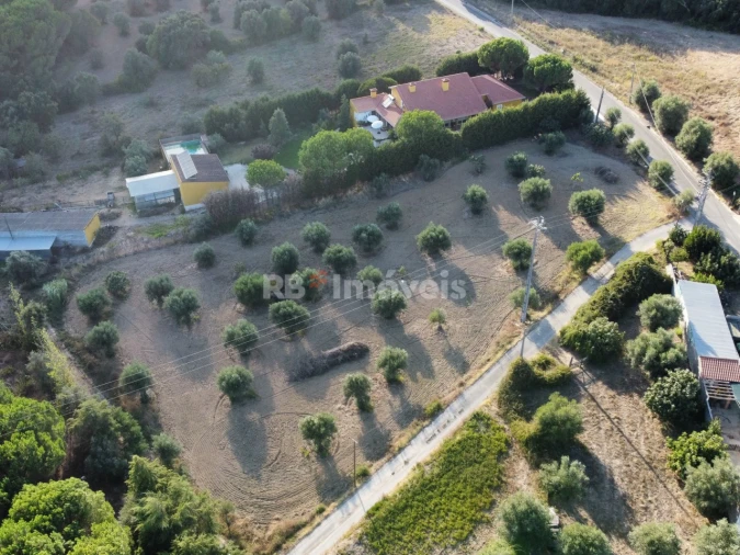 Terreno Agricola ou Rústico para Venda em Torres Novas (Santa Maria, Salvador e Santiago) Foto 5