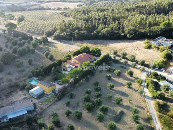 Terreno Agricola ou Rústico para Venda em Torres Novas (Santa Maria, Salvador e Santiago) Foto 2