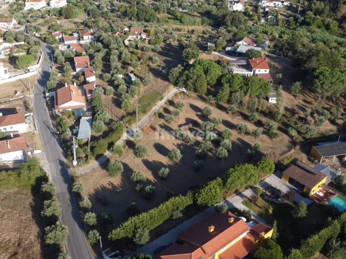 Terreno Agricola ou Rústico para Venda em Torres Novas (Santa Maria, Salvador e Santiago) Foto 19