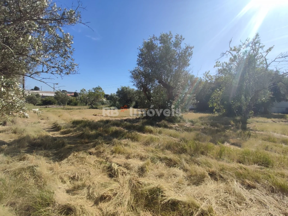 Terreno para Venda em Casais e Alviobeira Foto 22
