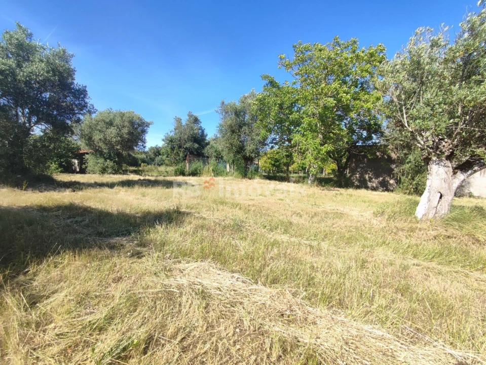 Terreno para Venda em Casais e Alviobeira Foto 27