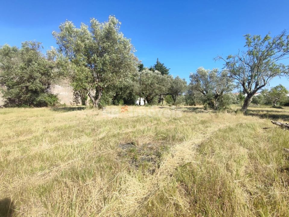 Terreno para Venda em Casais e Alviobeira Foto 28