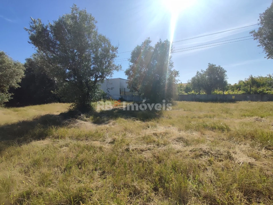 Terreno para Venda em Casais e Alviobeira Foto 31