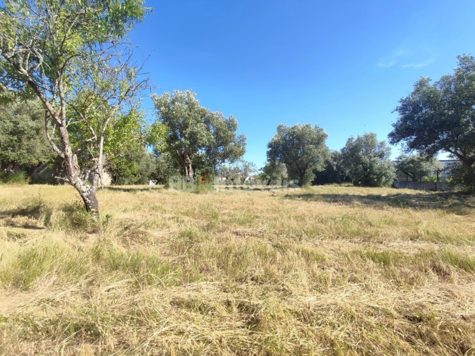 Terreno para Venda em Casais e Alviobeira Foto 35