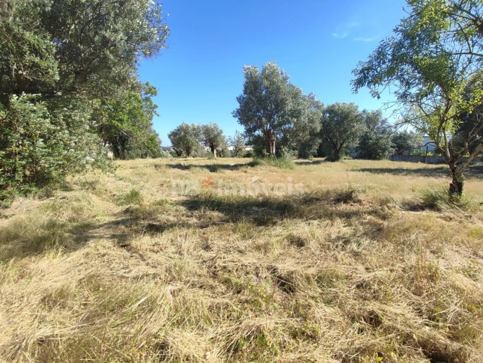 Terreno para Venda em Casais e Alviobeira Foto 36