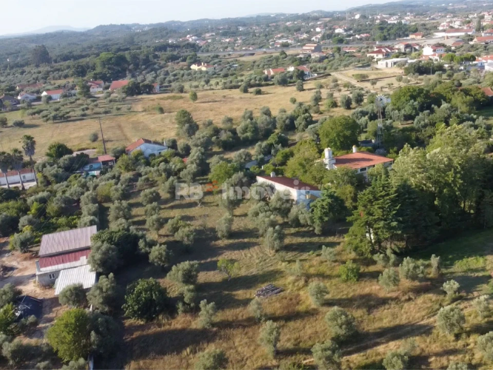 Terreno para Venda em Casais e Alviobeira Foto 42