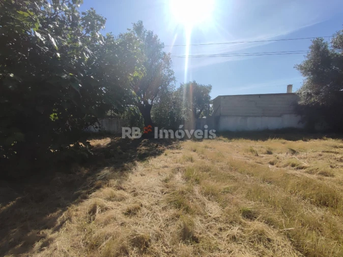 Terreno para Venda em Casais e Alviobeira Foto 10