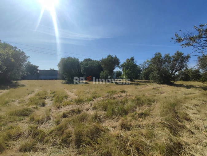 Terreno para Venda em Casais e Alviobeira Foto 18