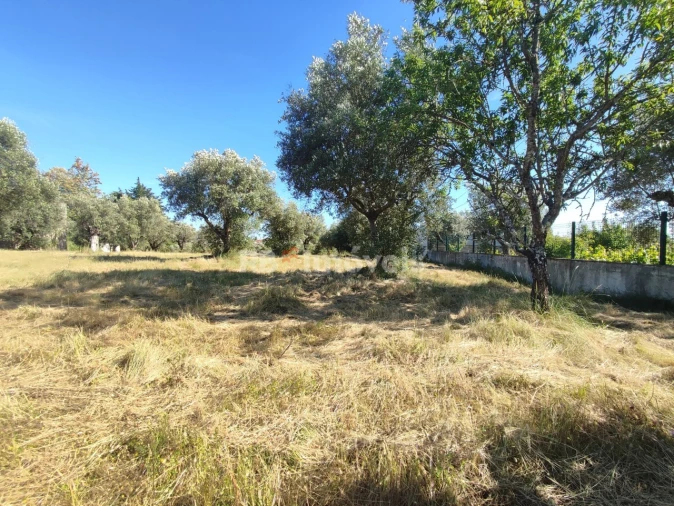 Terreno para Venda em Casais e Alviobeira Foto 34