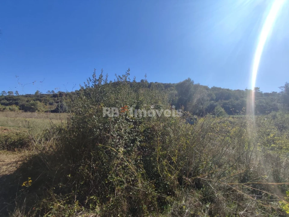 Terreno para Venda em Além da Ribeira e Pedreira Foto 8