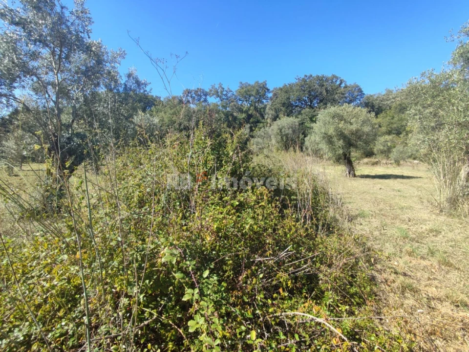 Terreno para Venda em Além da Ribeira e Pedreira Foto 9
