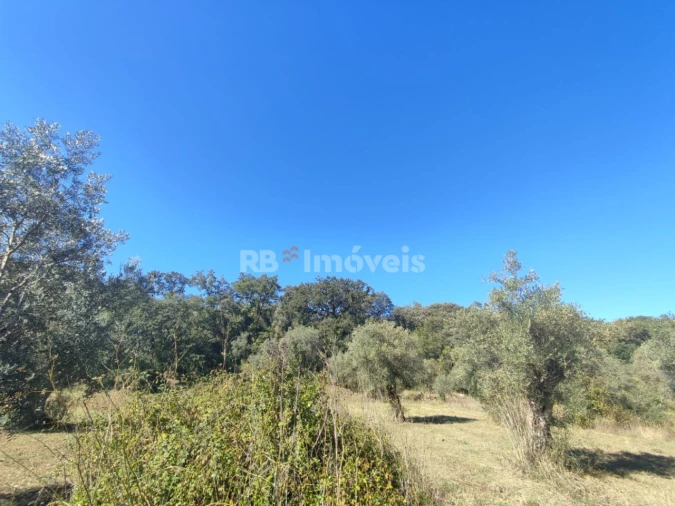 Terreno para Venda em Além da Ribeira e Pedreira Foto 2