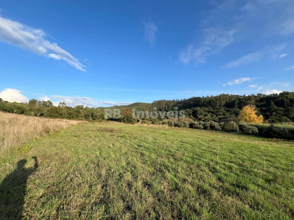 Terreno para Venda em Serra e Junceira Foto 6