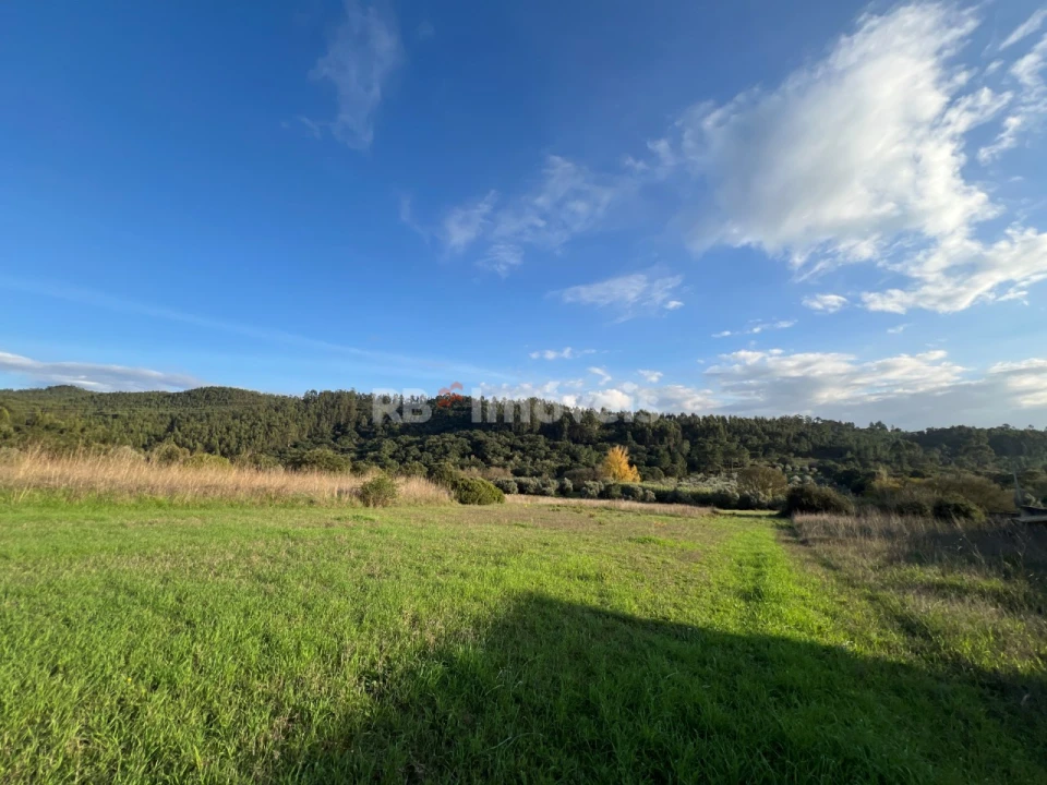 Terreno para Venda em Serra e Junceira Foto 9
