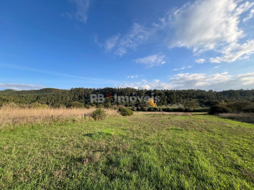 Terreno para Venda em Serra e Junceira Foto 3