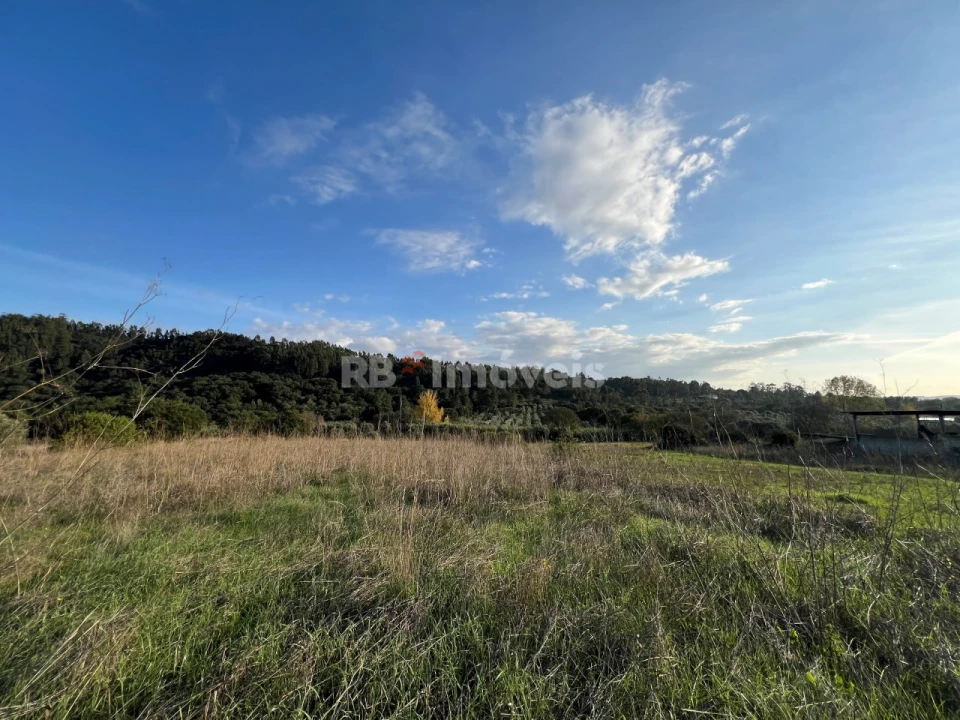 Terreno para Venda em Serra e Junceira Foto 12