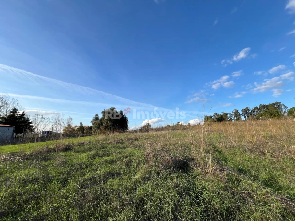 Terreno para Venda em Serra e Junceira Foto 18