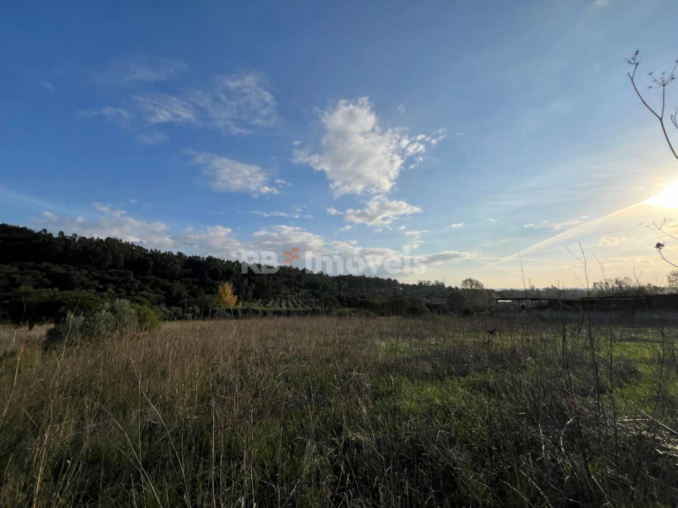 Terreno para Venda em Serra e Junceira Foto 19