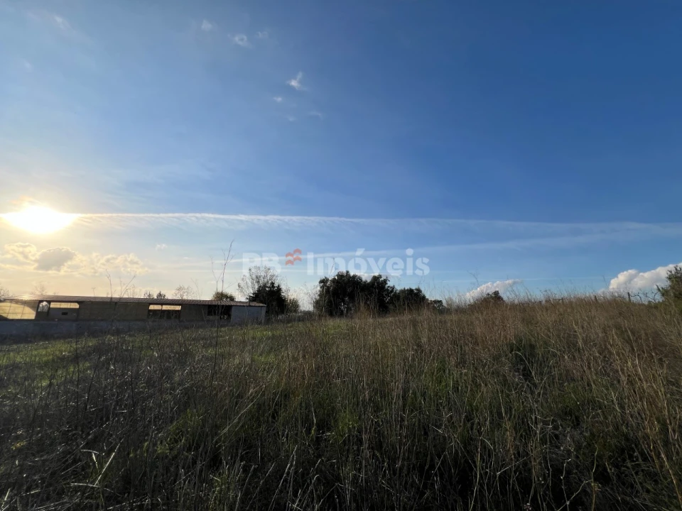 Terreno para Venda em Serra e Junceira Foto 20