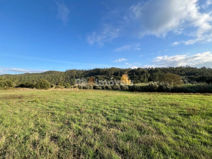 Terreno para Venda em Serra e Junceira Foto 7