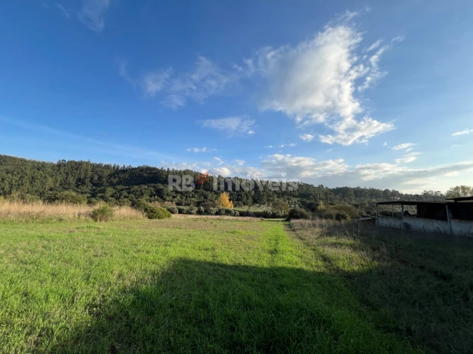 Terreno para Venda em Serra e Junceira Foto 8