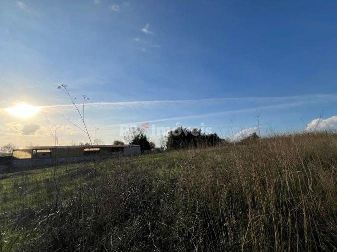 Terreno para Venda em Serra e Junceira Foto 16