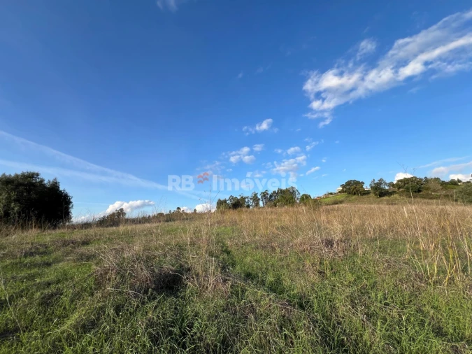 Terreno para Venda em Serra e Junceira Foto 17