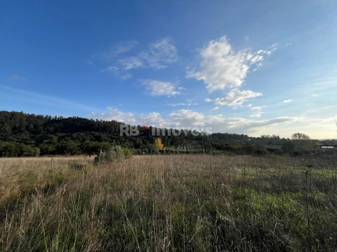 Terreno para Venda em Serra e Junceira Foto 21